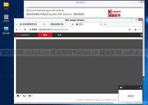 国产视频在线网站