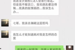 国产113页,深度解析我国科技发展的新篇章